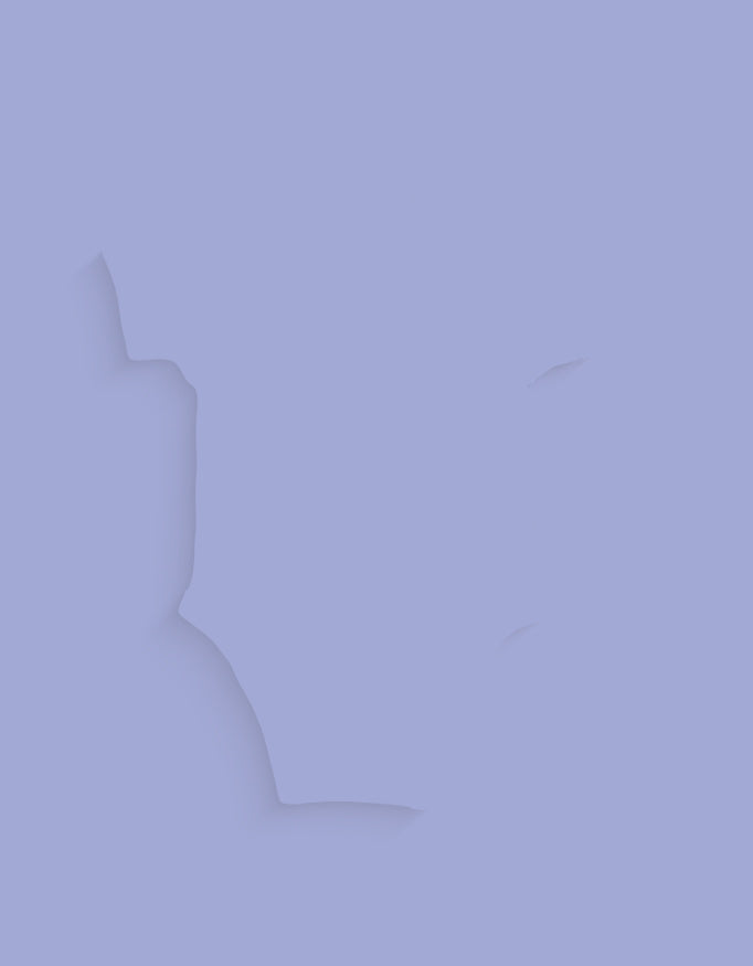 Back_2_c_4.jpg